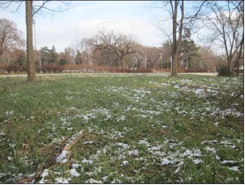 Commercial Land Site in Algonquin, IL : 1007 N. Main Street , Algonquin, IL 60102